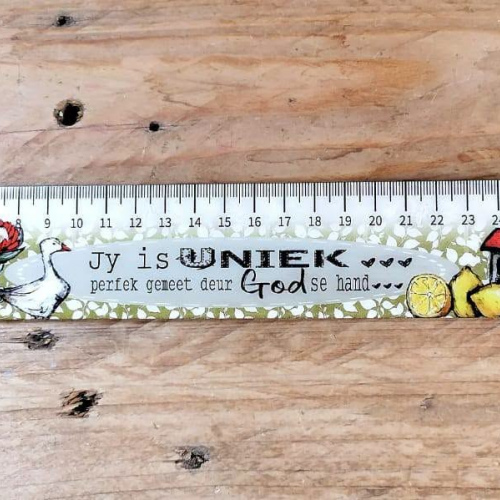 Liniaal Hout (10)