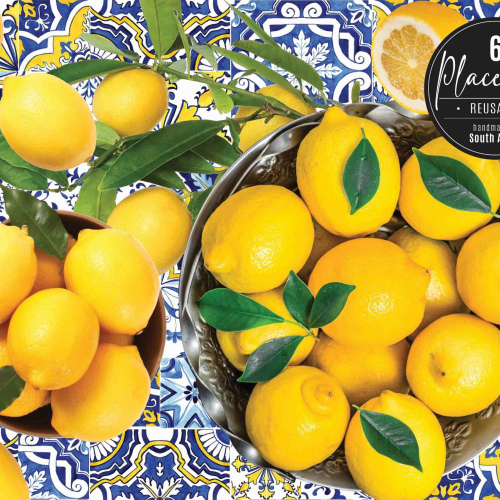 Amalfi Santorini Vinyl Placemats Set of 6